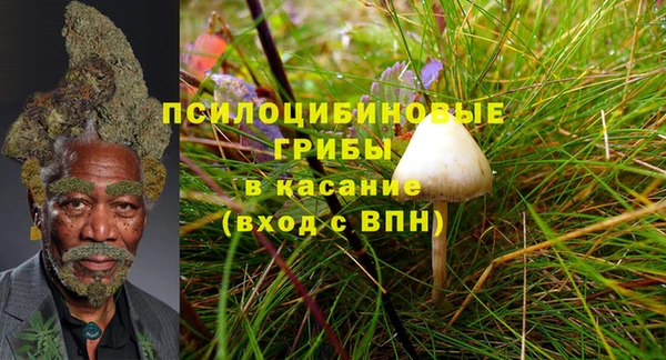МДПВ Лагань