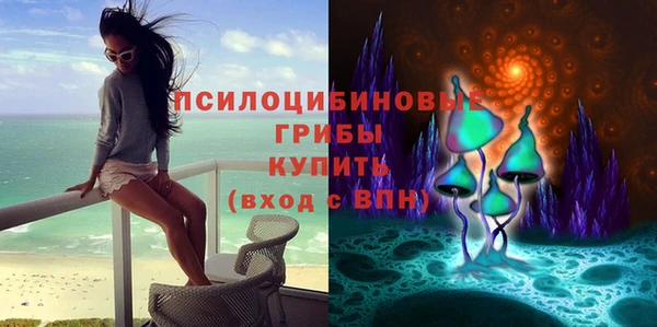 экстази Ладушкин