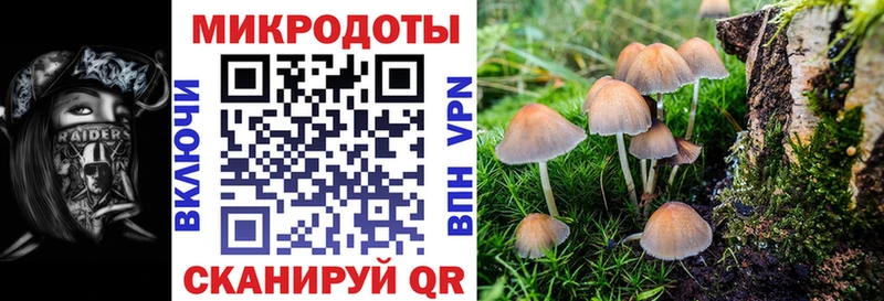 Псилоцибиновые грибы мухоморы  Томилино 